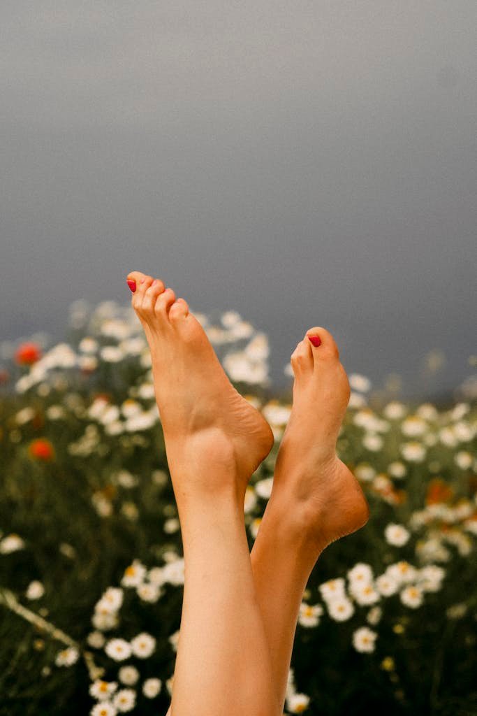 Feet with red pedicure among chamomile flowers in Belarus, symbolizing relaxation and nature.