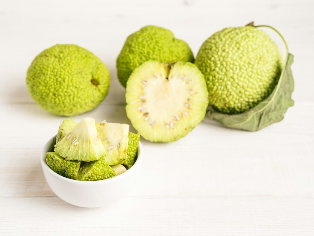 Green fruit of maclura, osage orange